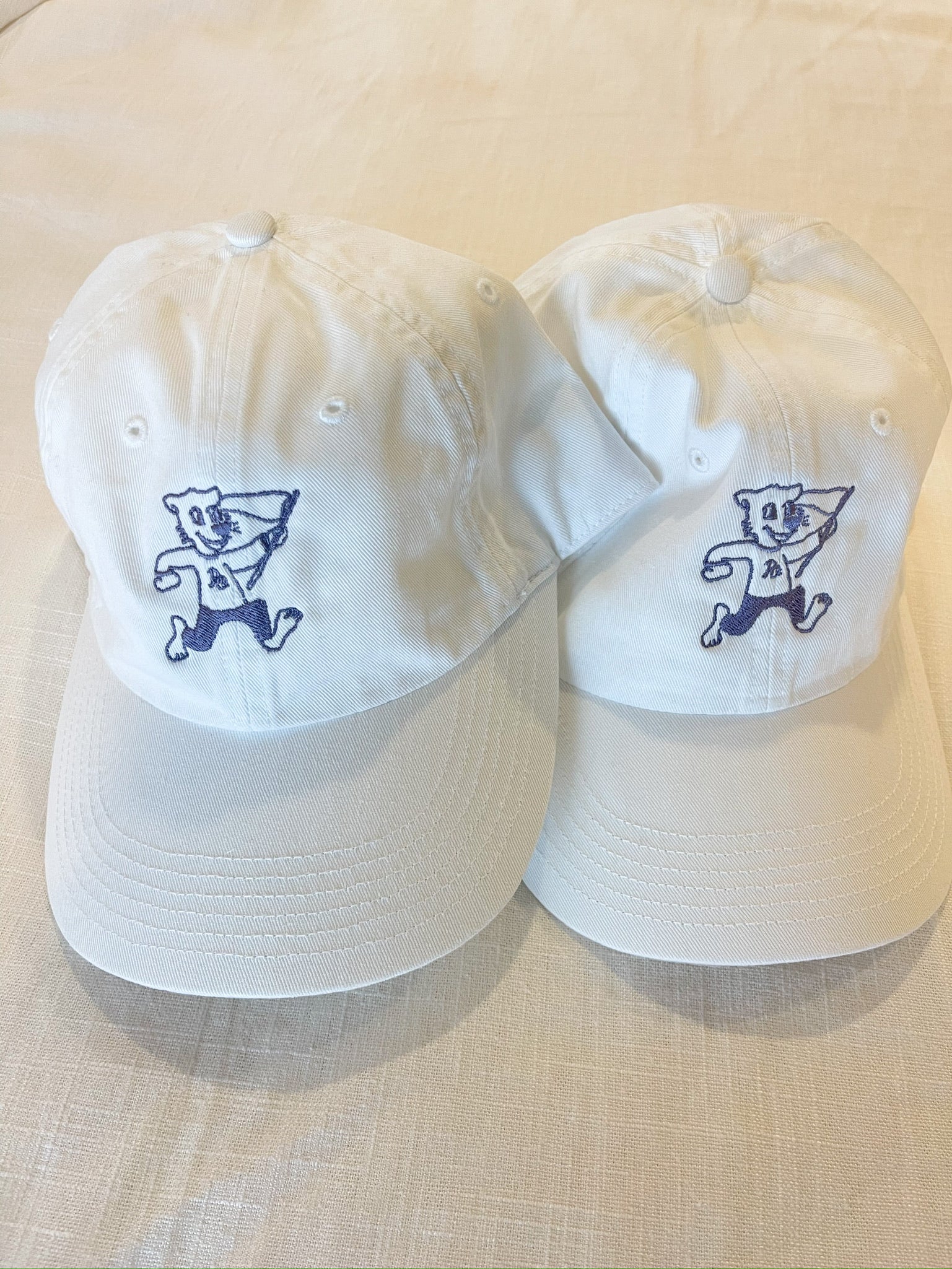 Hats – Purple Outfitters